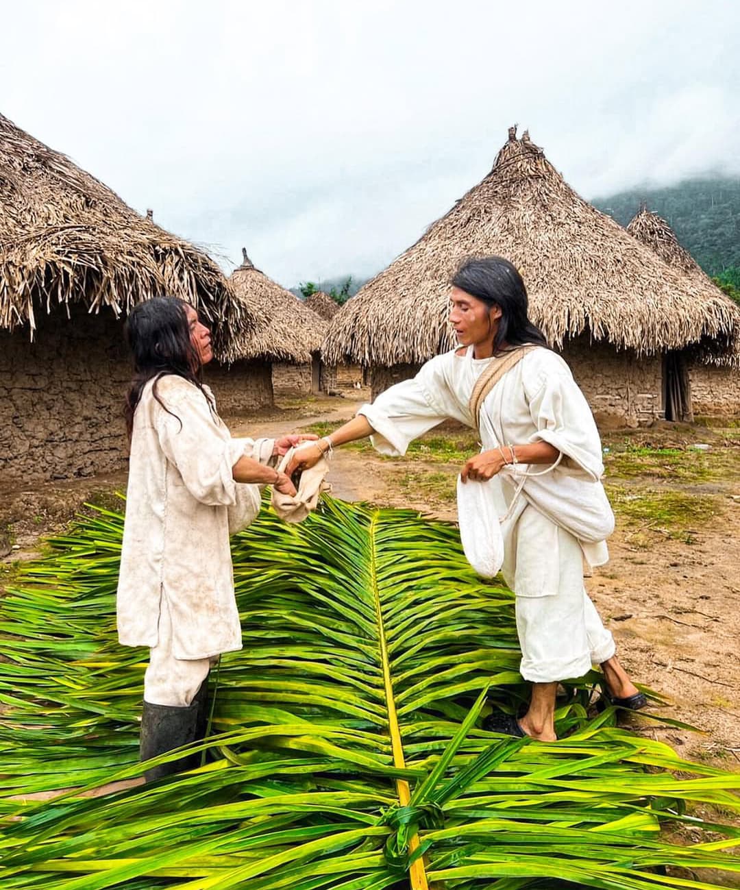 saludo de los indígenas de la Sierra Nevada con la hoja de coca